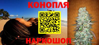 сатива Заволжье