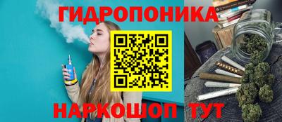 мяу мяу мука Жуковский