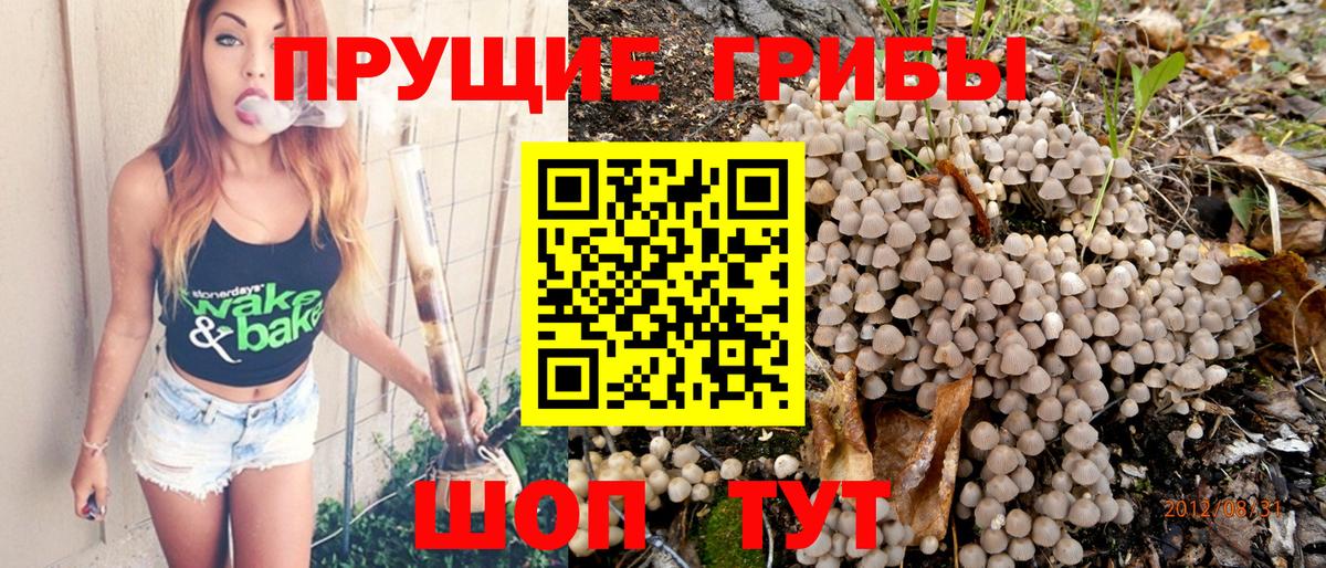 Псилоцибиновые грибы ЛСД Назарово
