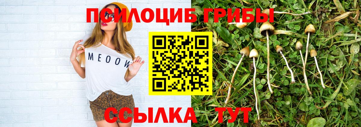 Назарово  Псилоцибиновые грибы GOLDEN TEACHER  Вход с VPN 